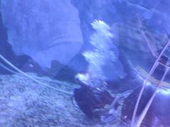 -多彩贵州城极地海洋世界