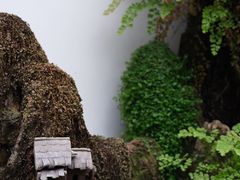 环境-丽江庭院之爱在路上(西单店)