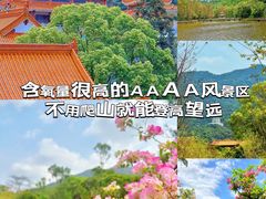 -深圳市中科院仙湖植物园