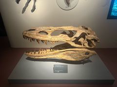 -自贡恐龙博物馆