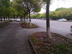 练习场环境-安飞驰驾校·学车连锁(金高店)