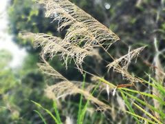 -东天目山风景区