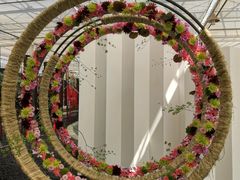 -上海鲜花港