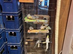 -玉桥餐厅(天坛店)