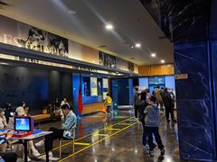-博纳国际影城IMAX(中央大道店)