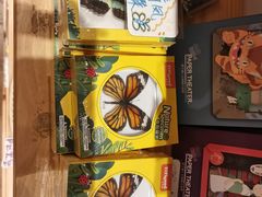 -猫的天空之城概念书店(苏州平江店)