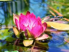 -北京植物园-展览温室