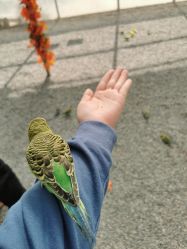 -萌宠亲子动物乐园(槐房万达店)