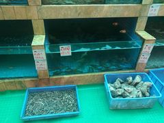 -外沙疍家棚酒楼