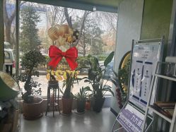 -北京豆豆博士专业祛痘