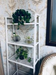 -阿茹娜美容会馆