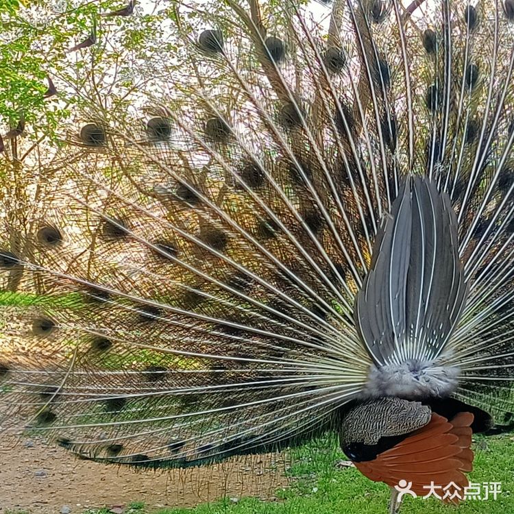 趁着蓝天去就对了
