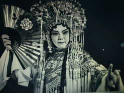 -胭脂猫京剧摄影