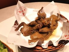 -鸽子侯·家宴·平价海鲜(绿地店)