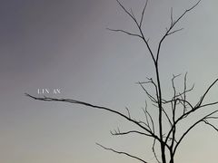 -东天目山风景区