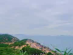 -杨梅坑