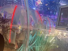 -享月汤皇·海鲜小火锅·聚会(曲江创意谷店)