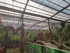 -呀路古热带植物园