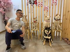 -柴迷FANS CLUB·柴犬狗咖·猫咖