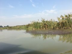 -长兴太湖图影湿地文化园