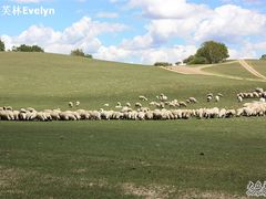 -塞罕坝国家级自然保护区