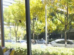 -汤城小厨•粤菜•靓汤(金融街店)