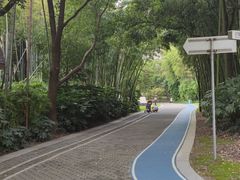 -苏州河梦清园环保主题公园