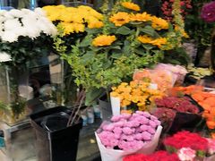 -曲阳花鸟市场(曲阳路店)