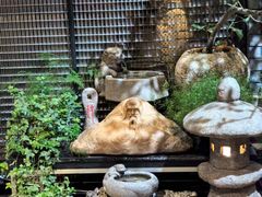 -川旺角融合菜•海景餐厅(星海广场店)