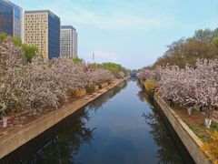 -海棠花溪(元大都城垣遗址公园)