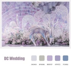 -DC大蔡婚礼策划(李公堤店)