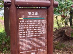 -华侨城湿地公园