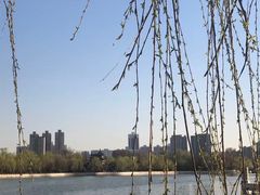 -迎泽公园