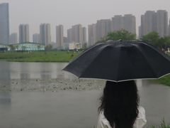 -洋湖国家湿地公园