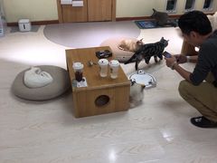 -猫和宫(六道口店)