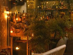 -咖法森林·咖啡  酒吧(天河店)