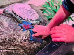 -沈阳海洋探索中心