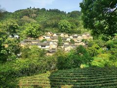 -杨家堂村
