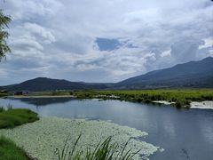 -腾冲北海湿地