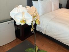 -上海璞麗酒店