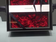 -ROSEONLY诺誓(磐基中心店)