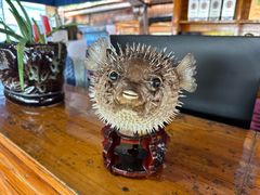 -蓝湾碧波·老字号·疍家非遗海上餐厅