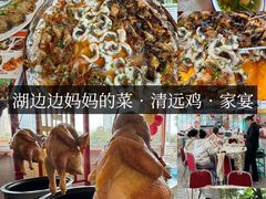 -飞来湖湿地公园