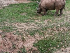 -深圳野生动物园