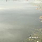 挺符合欧洲人的平静慵懒生活的，慢节奏社会