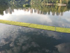 -重庆彩云湖湿地公园