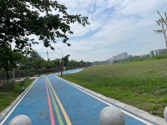-永康森林公园