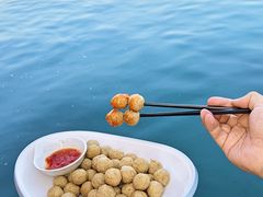 -蓝湾碧波·老字号·疍家非遗海上餐厅