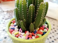 -食惠里小笼包面馆(越秀店)