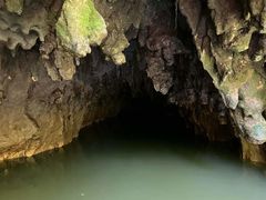 -怀托摩萤火虫洞